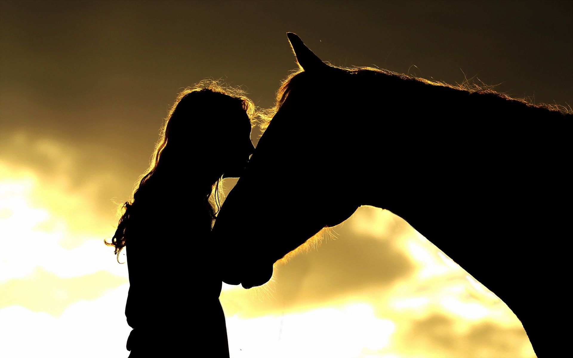 1920x1200 Wallpaper girl, horse, silhouette for mobile and desktop, section настроения, resolution 1920x1200