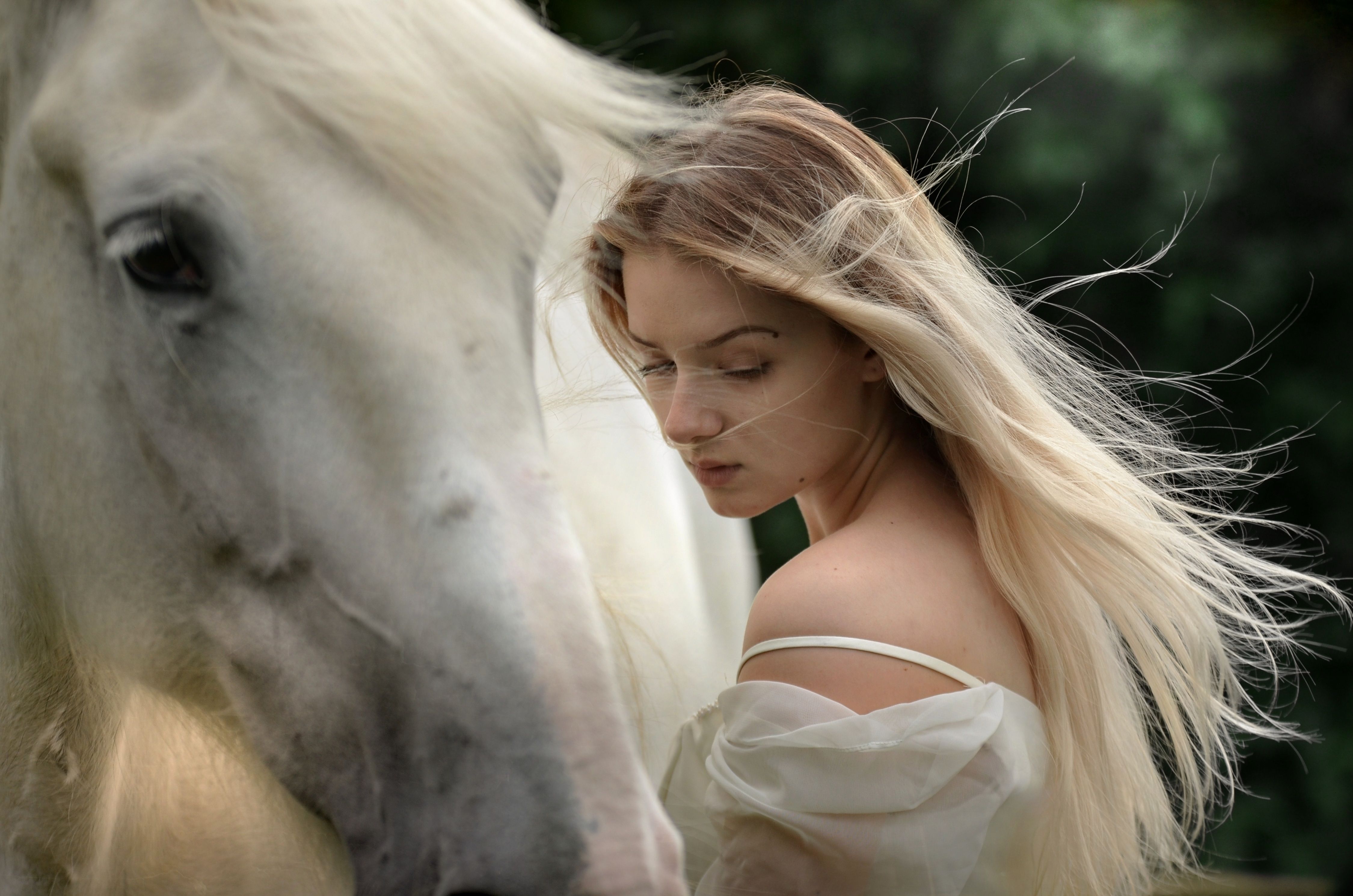 4500x2981 Beautiful Girl With Horse Wallpaper, HD Girls Wallpaper, 4k Wallpaper , Image, Background, Photos and Picture