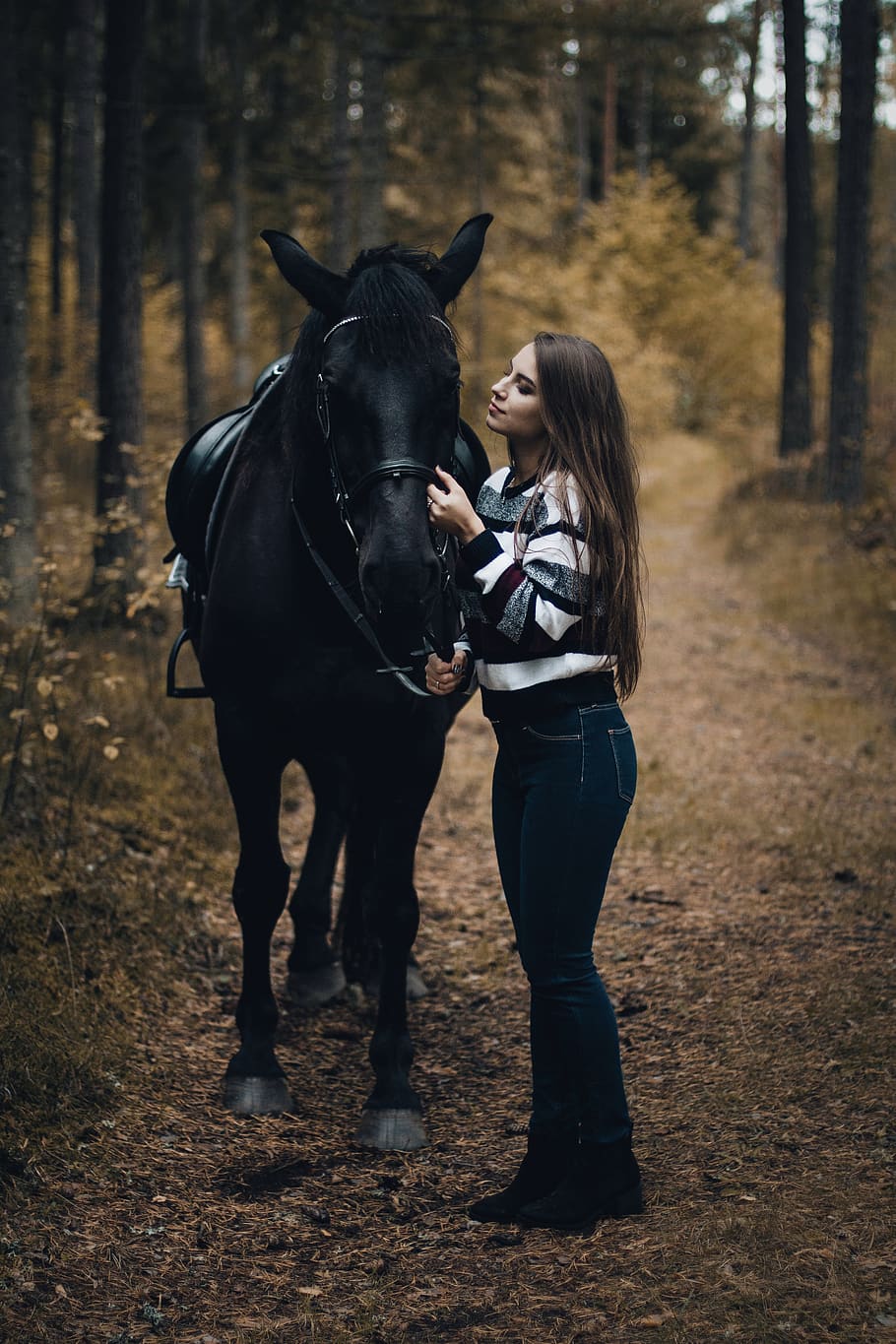 910x1365 Online crop. HD wallpaper: woman beside black horse at the forest, mammal, domestic, domestic animals