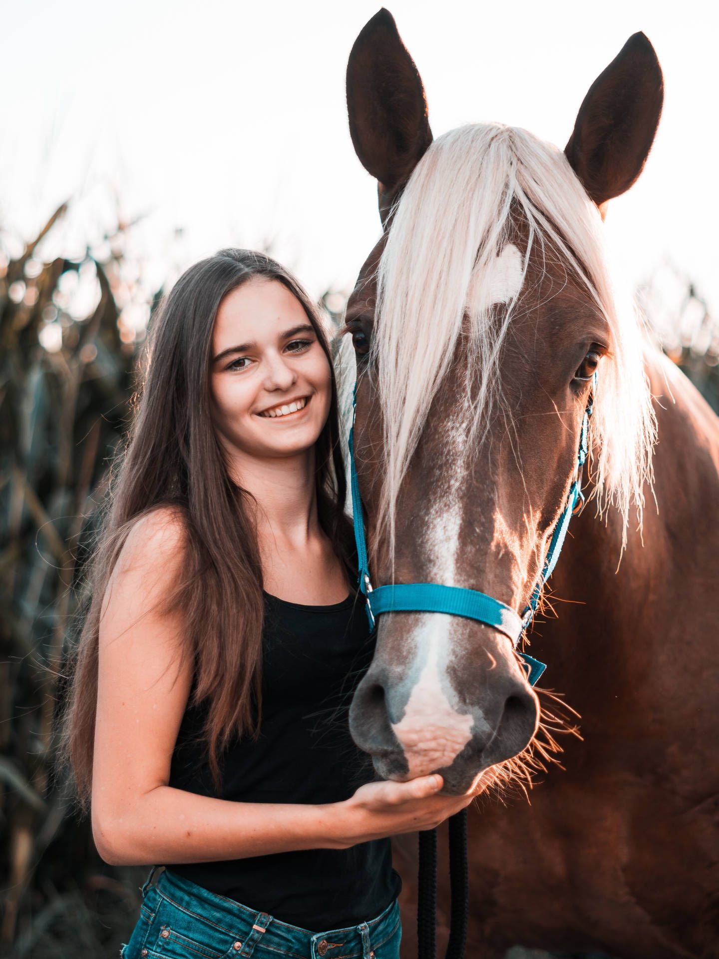 1440x1920 Download Girl With Horse iPhone Wallpaper