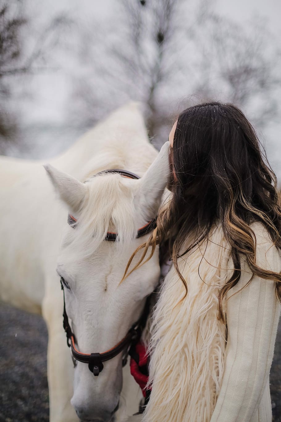 910x1365 HD wallpaper: Gül Kurtaran, woman standing beside white horse outside, female