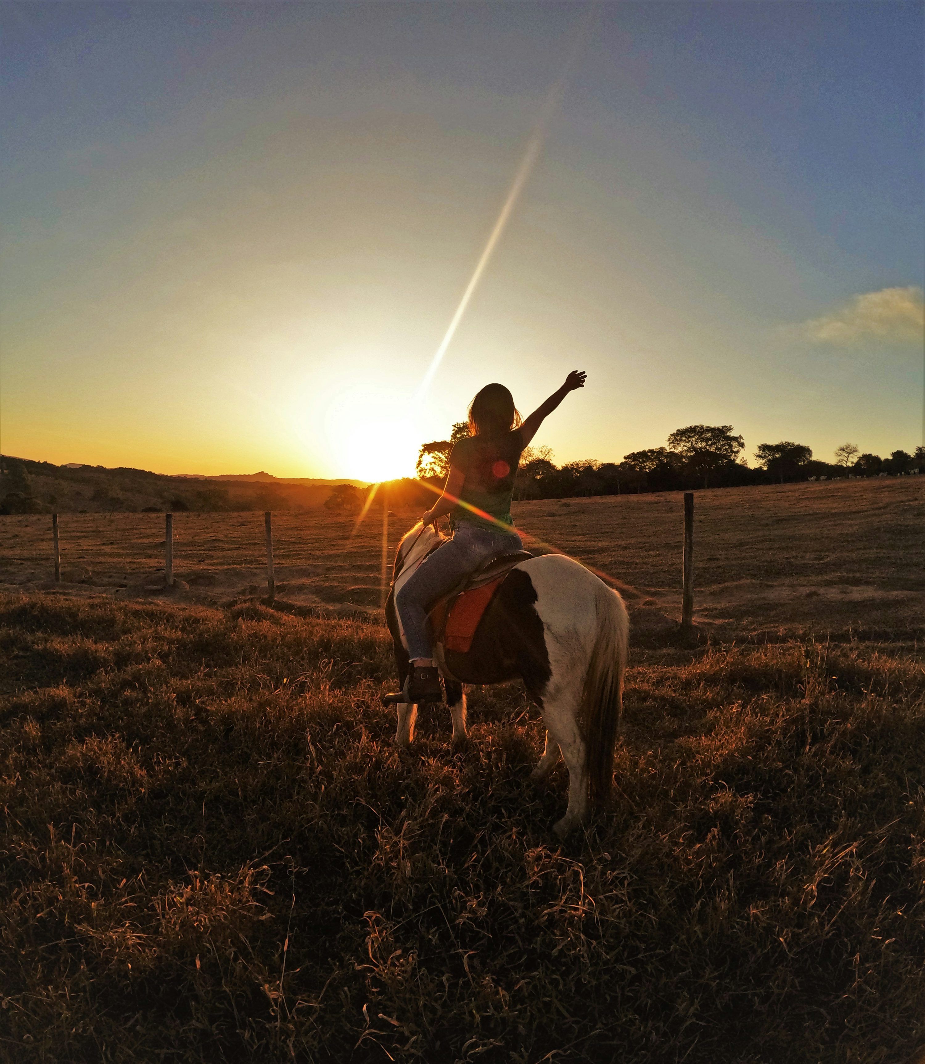 3000x3449 A person riding a horse photo