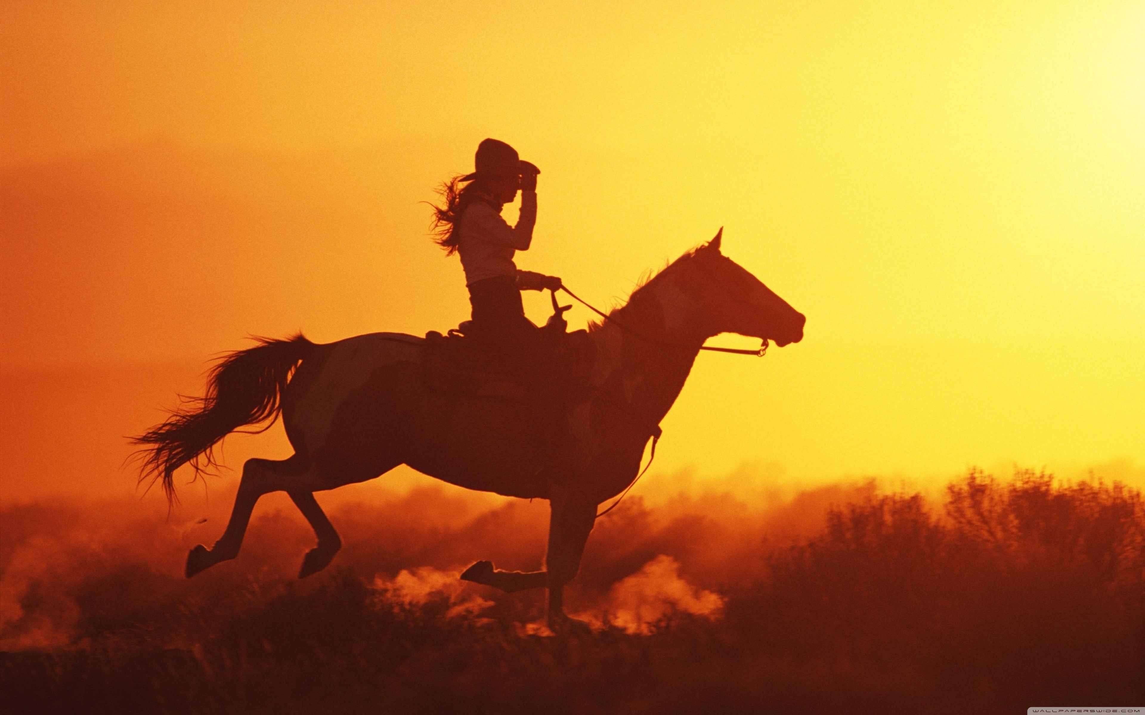 3840x2400 Girl On Horse 4K UHD Wallpaper for UltraHD Desktop and TV : Smartphone and Tablet Devices