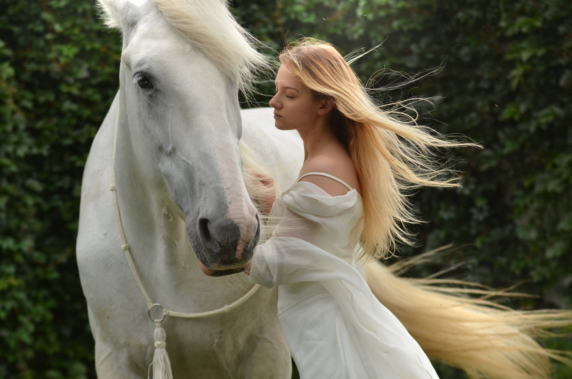 1920x1272 Download Lady Petting A White Horse Wallpaper
