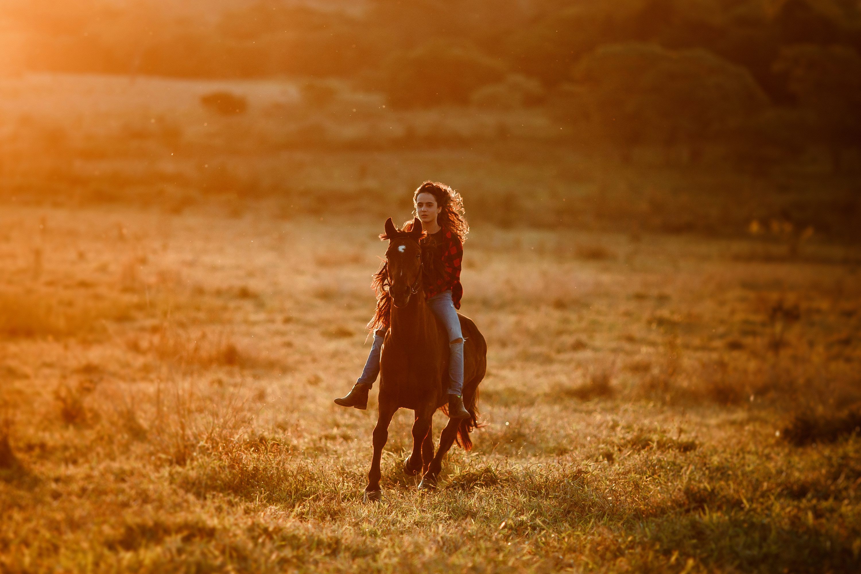 3000x2000 A woman sitting on a horse at sunset photo
