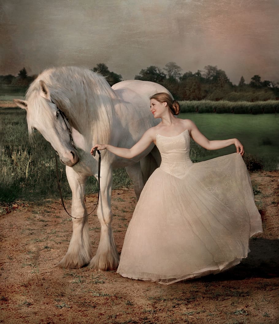 910x1058 beautiful horses 1080P, 2K, 4K, 5K HD wallpaper free download, sort