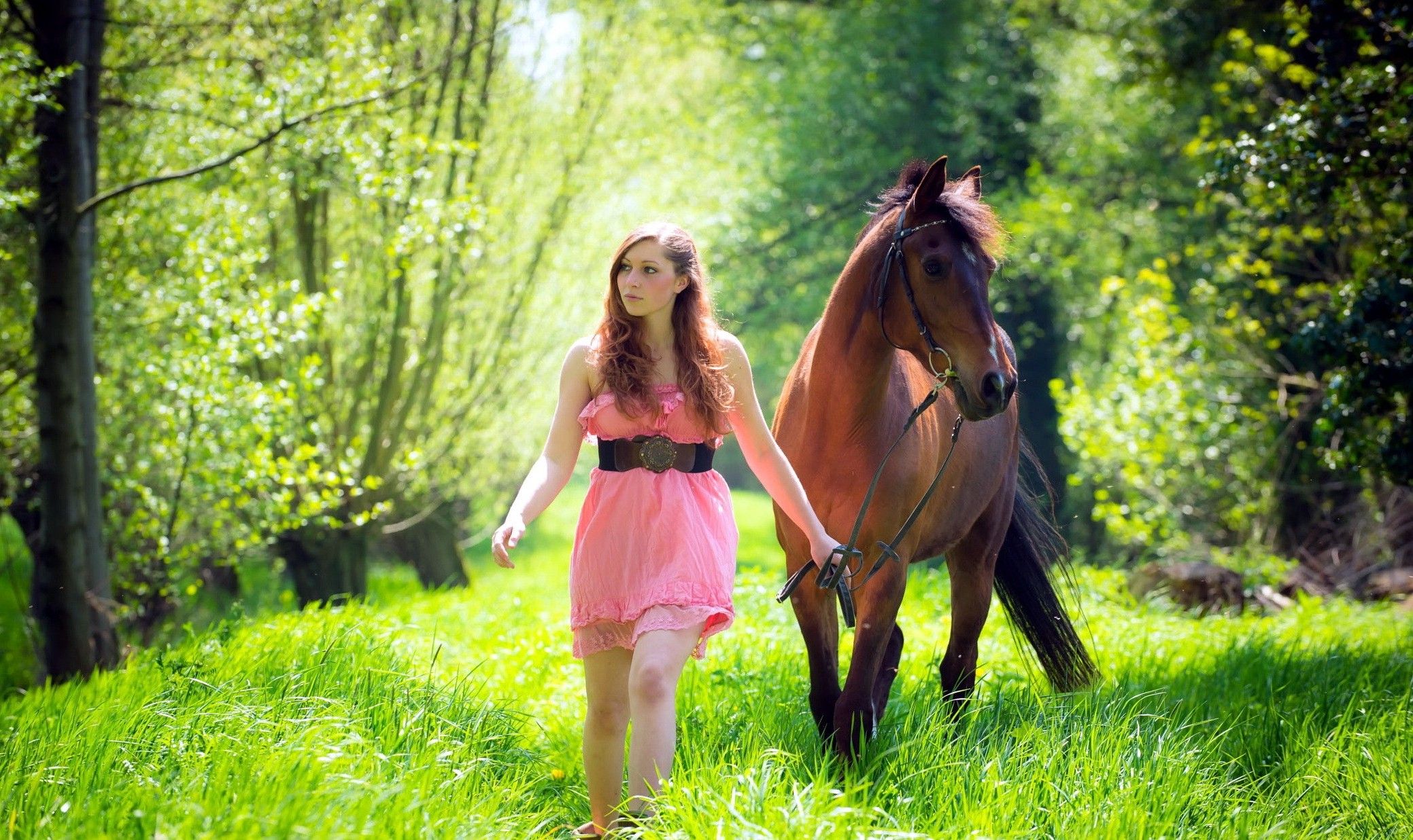 2078x1237 Women With Horse Wallpaper, HD Girls Wallpaper, 4k Wallpaper, Image, Background, Photos and Picture
