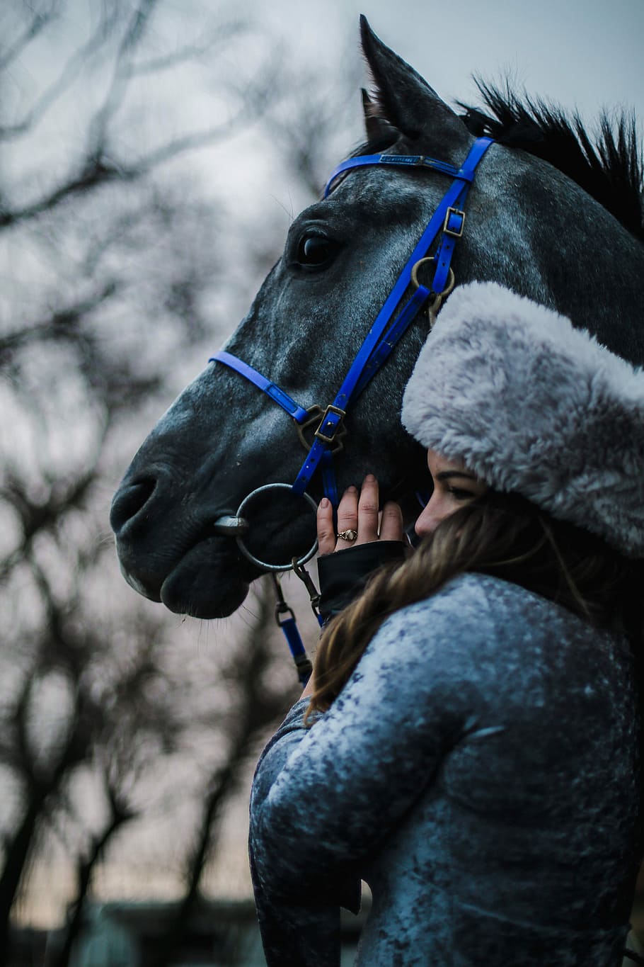 910x1365 HD wallpaper: Gül Kurtaran, woman standing beside horse, animal, animal lover