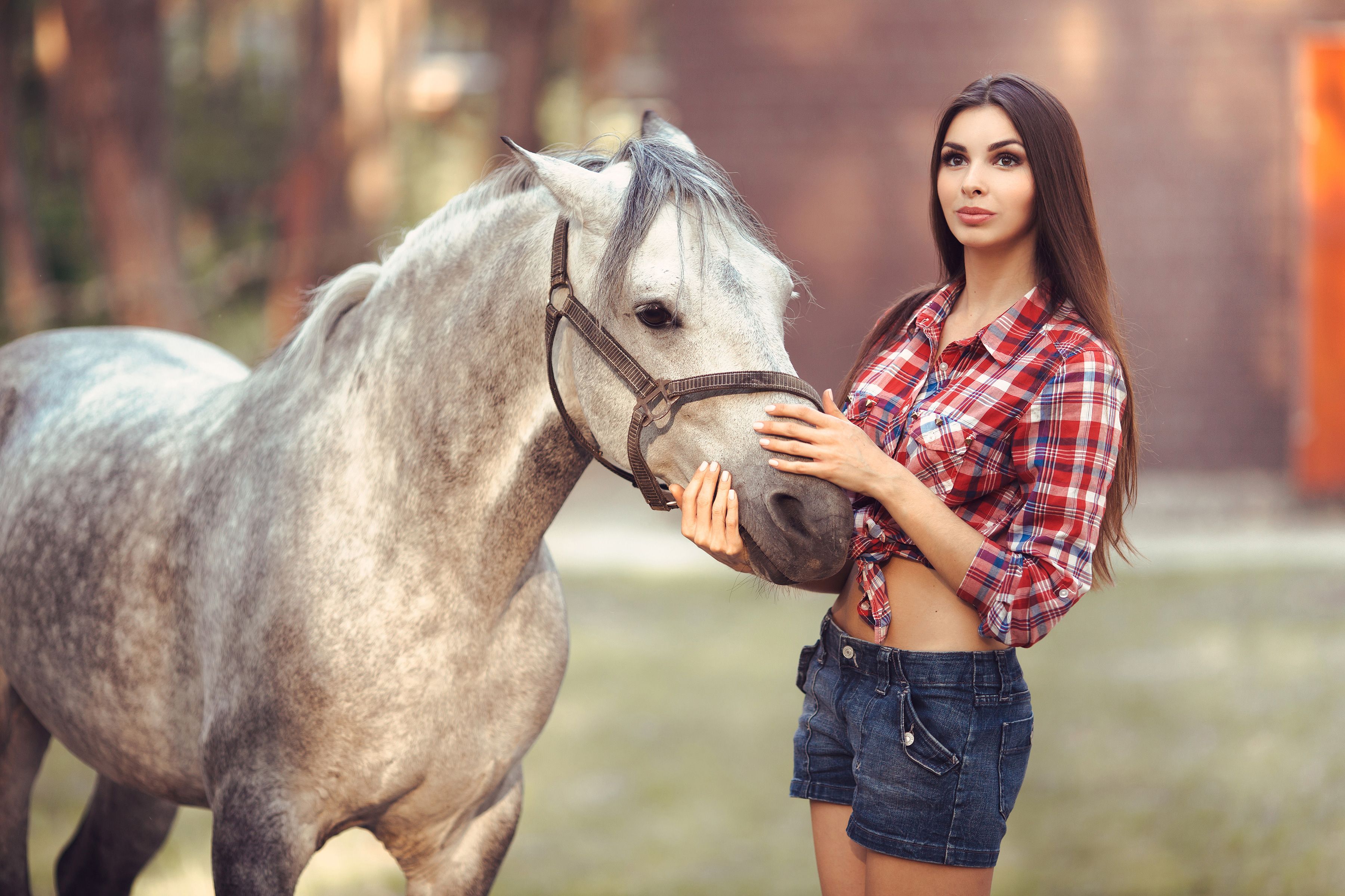 3600x2400 Beautiful Girl With Horse 4k Wallpaper, HD Girls Wallpaper, 4k Wallpaper , Image, Background, Photos and Picture