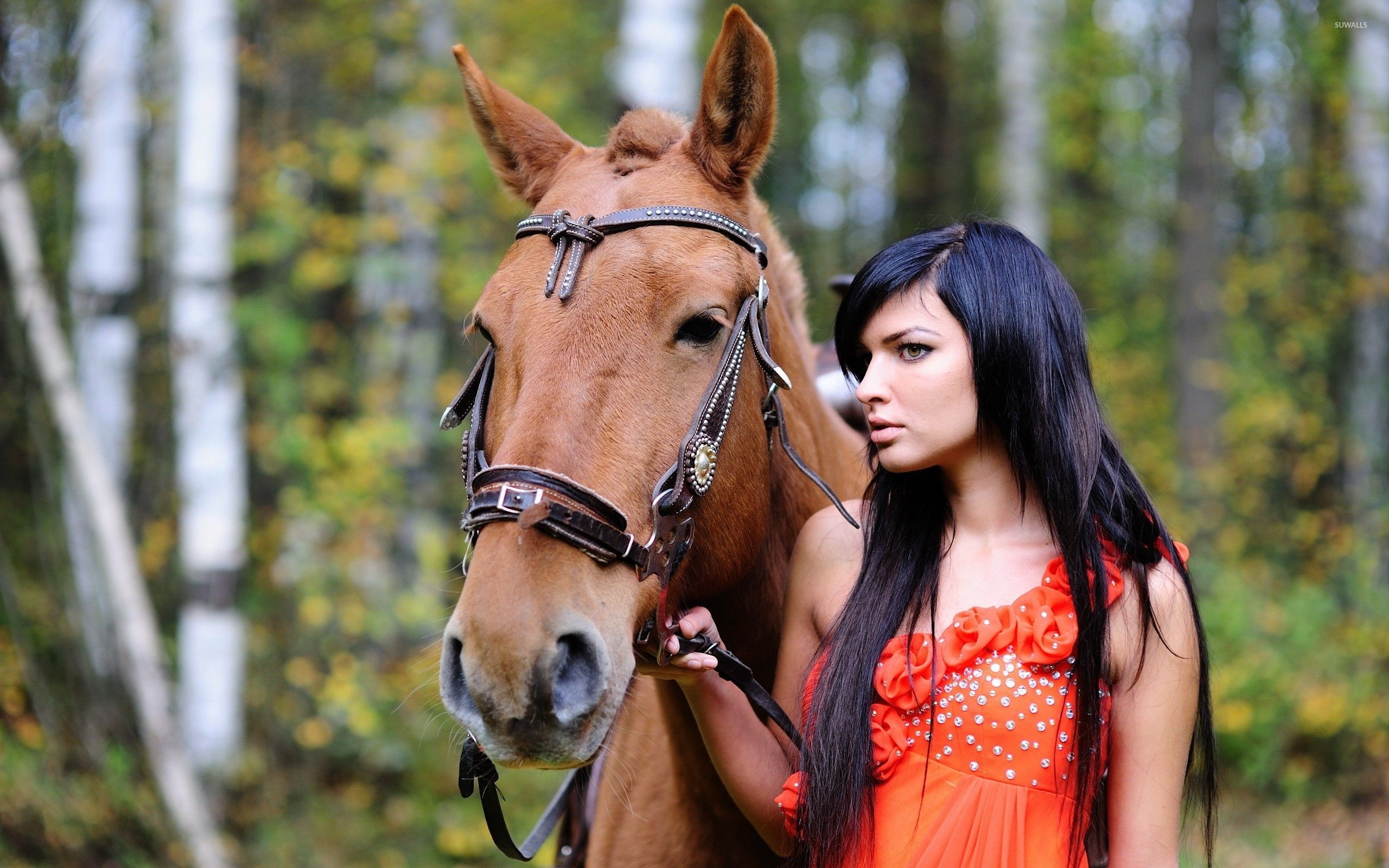 2560x1600 Girl with her horse in the forest wallpaper wallpaper