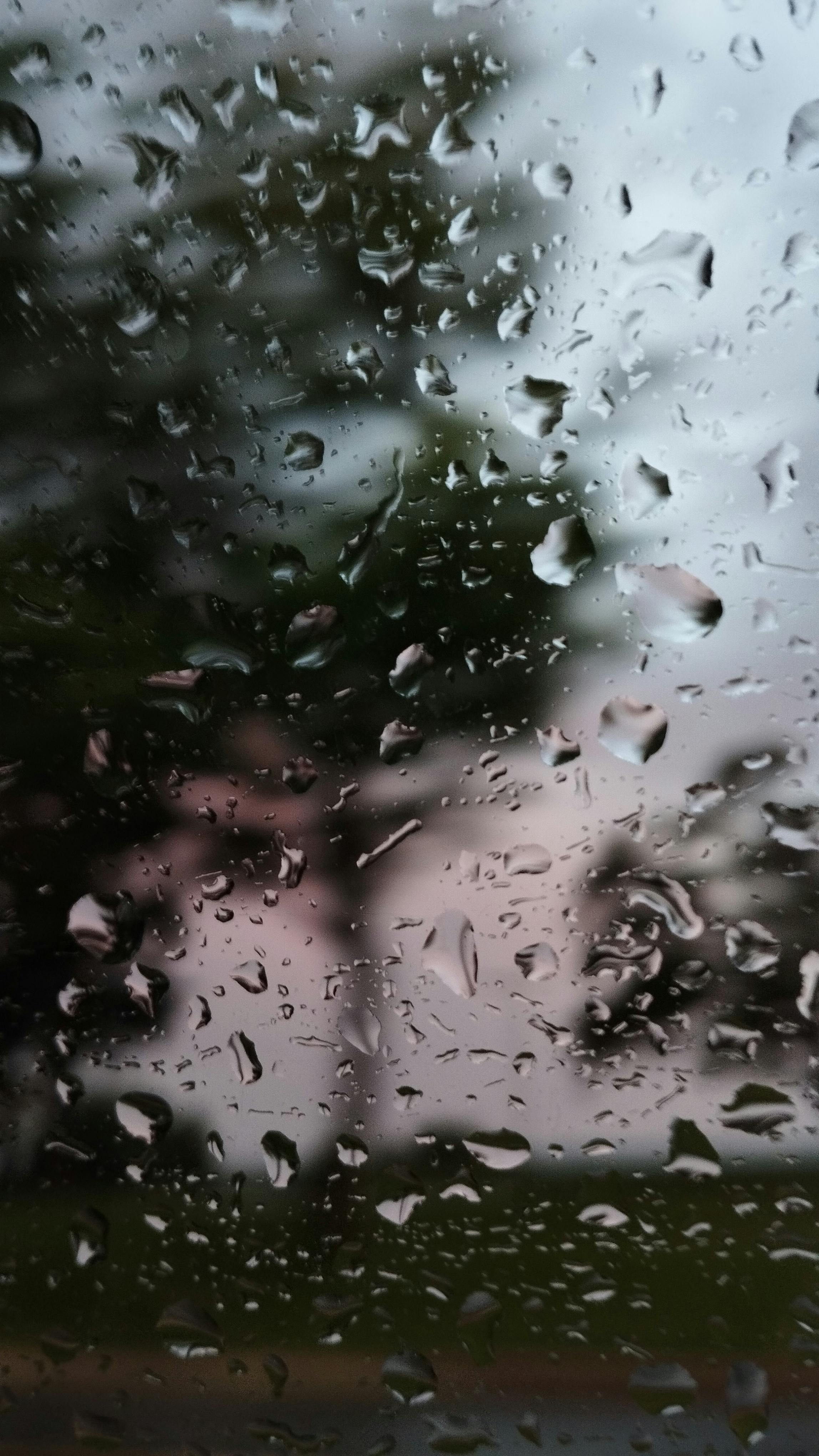 2296x4080 Raindrops on Glass with Blurred Nature Background · Free