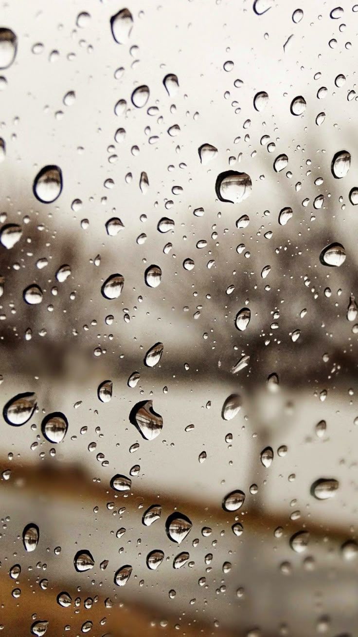 736x1308 Rainwater Drops On Window Wallpaper. Close Up Rain Droplets, Nature Photography Inspiration, Raindrops On A