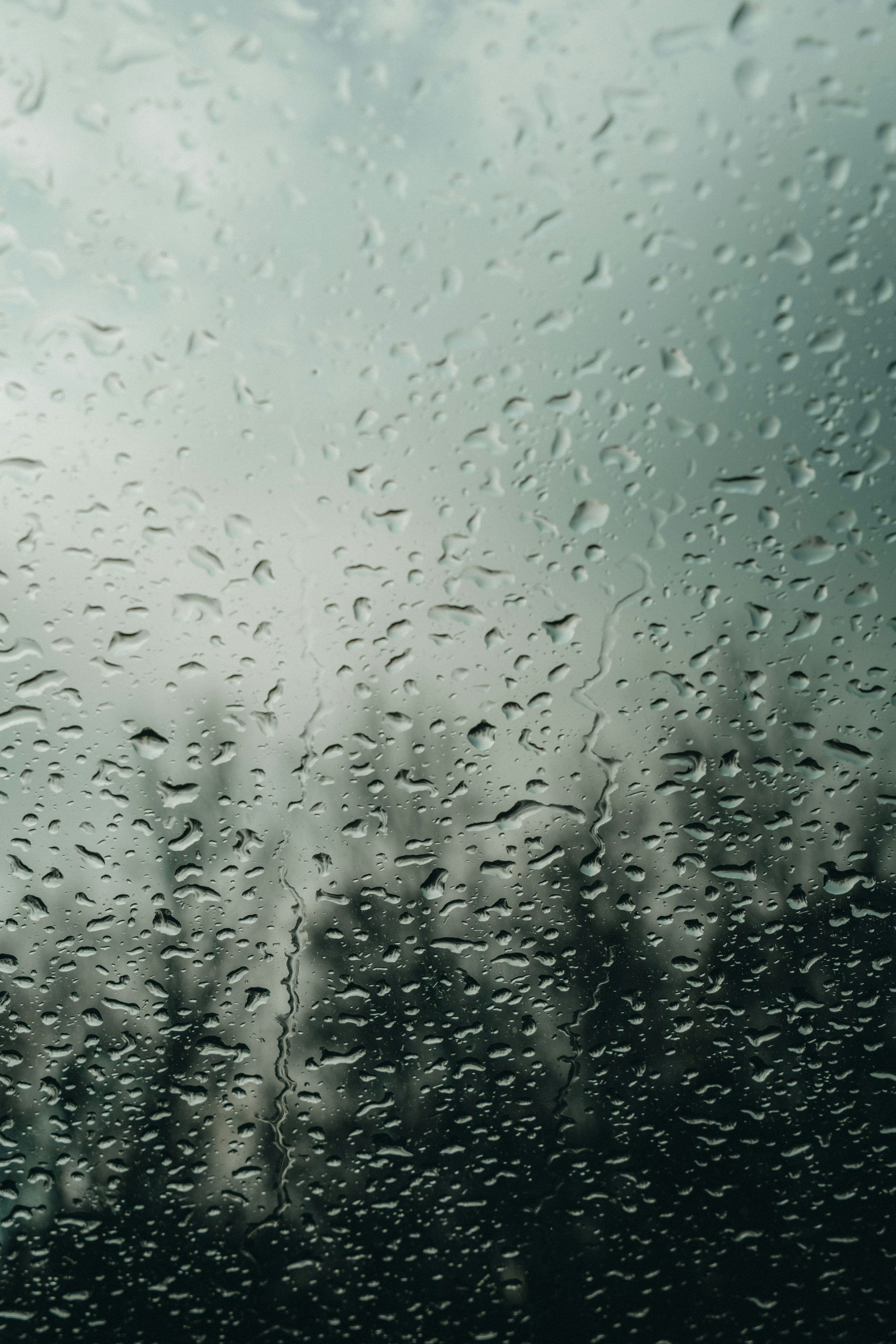 3000x4500 A rain covered window with trees in the background photo