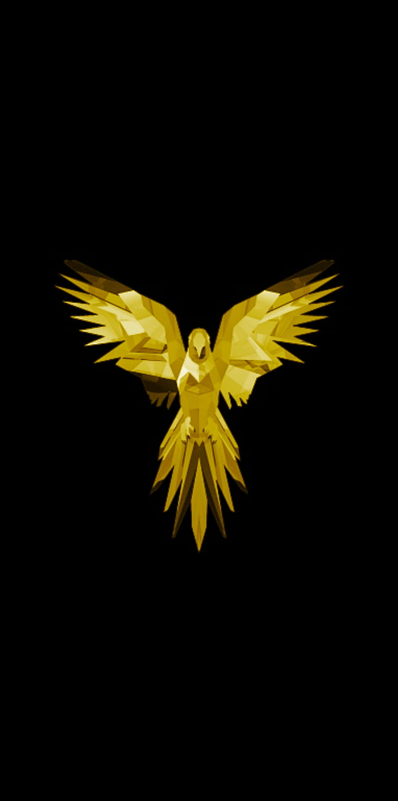 800x1611 Golden bird, bird, golden, eagle, amoled, HD phone wallpaper