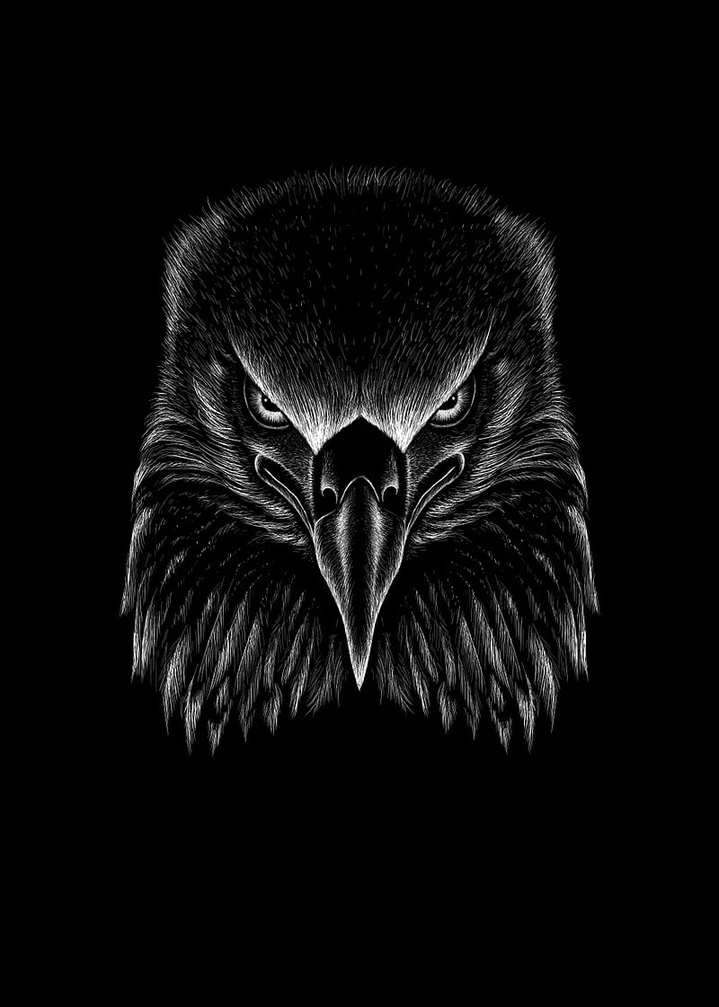 800x1120 Eagle Art, android, bird, black, dark, evil, iphone, kingmixer, phone, HD phone wallpaper