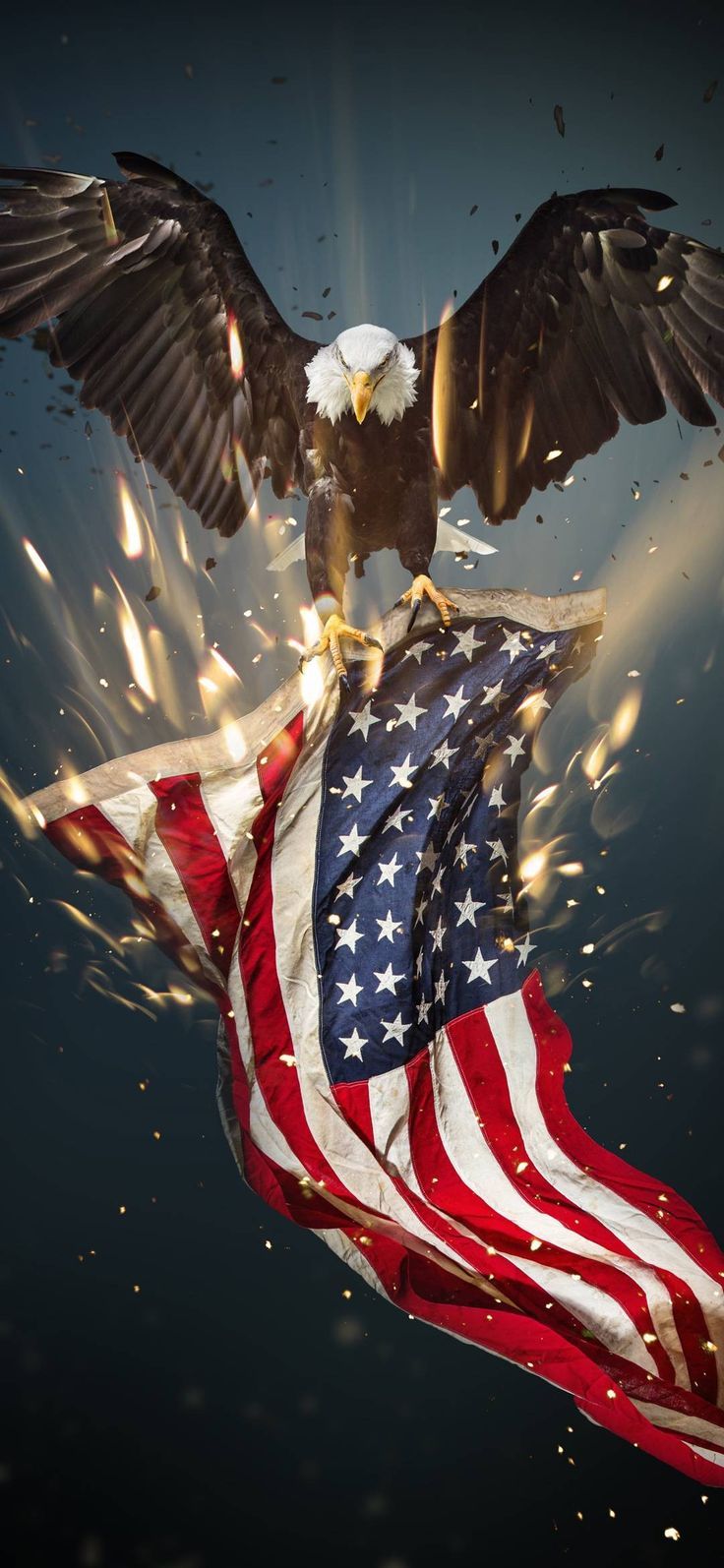 736x1594 USA EAGLE Amoled wallpaper. iPhone wallpaper, Eagle wallpaper, American flag eagle
