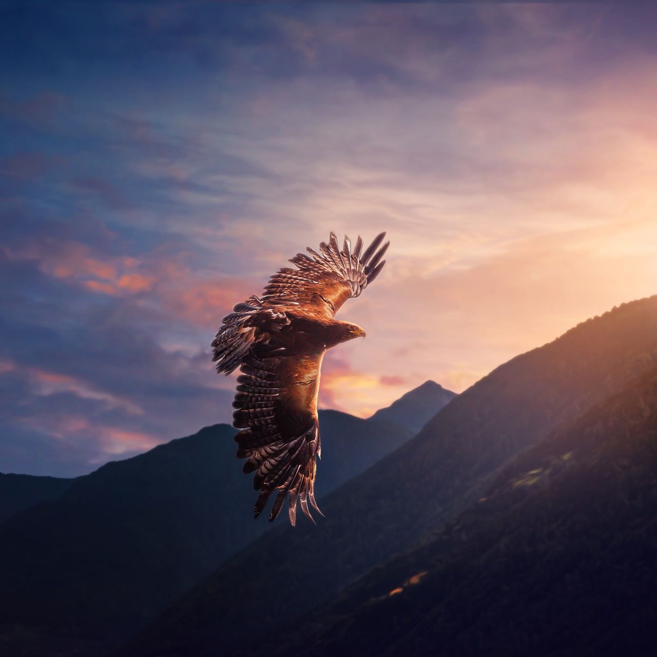 1280x1280 Eagle Wallpaper 4K, Sunset, Mountains, Evening sky
