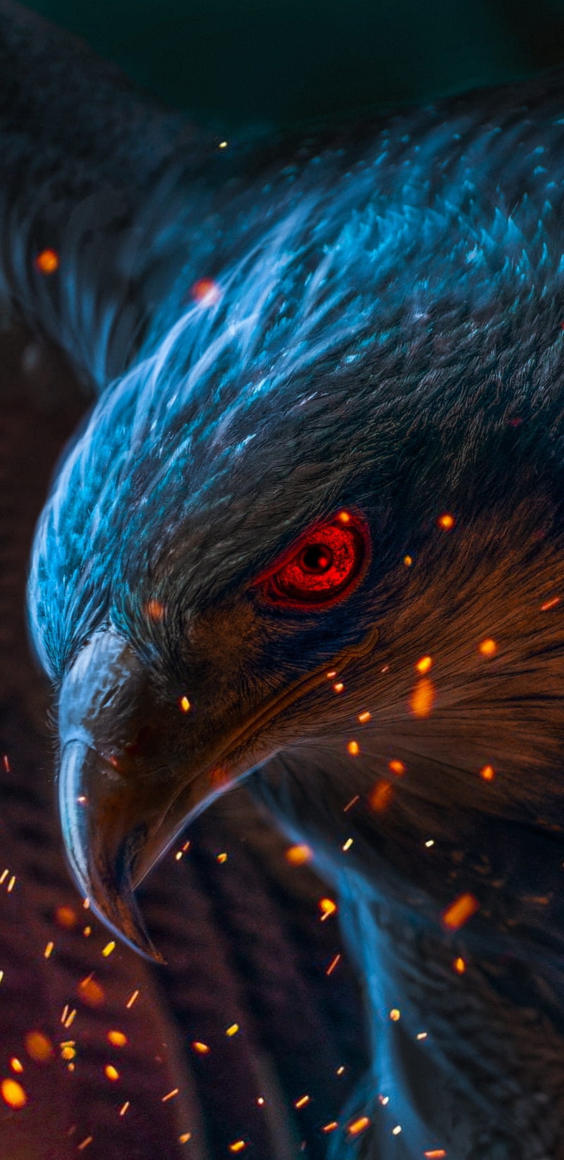 800x1644 2224x1668px, 1080P free download. eagle, HD wallpaper