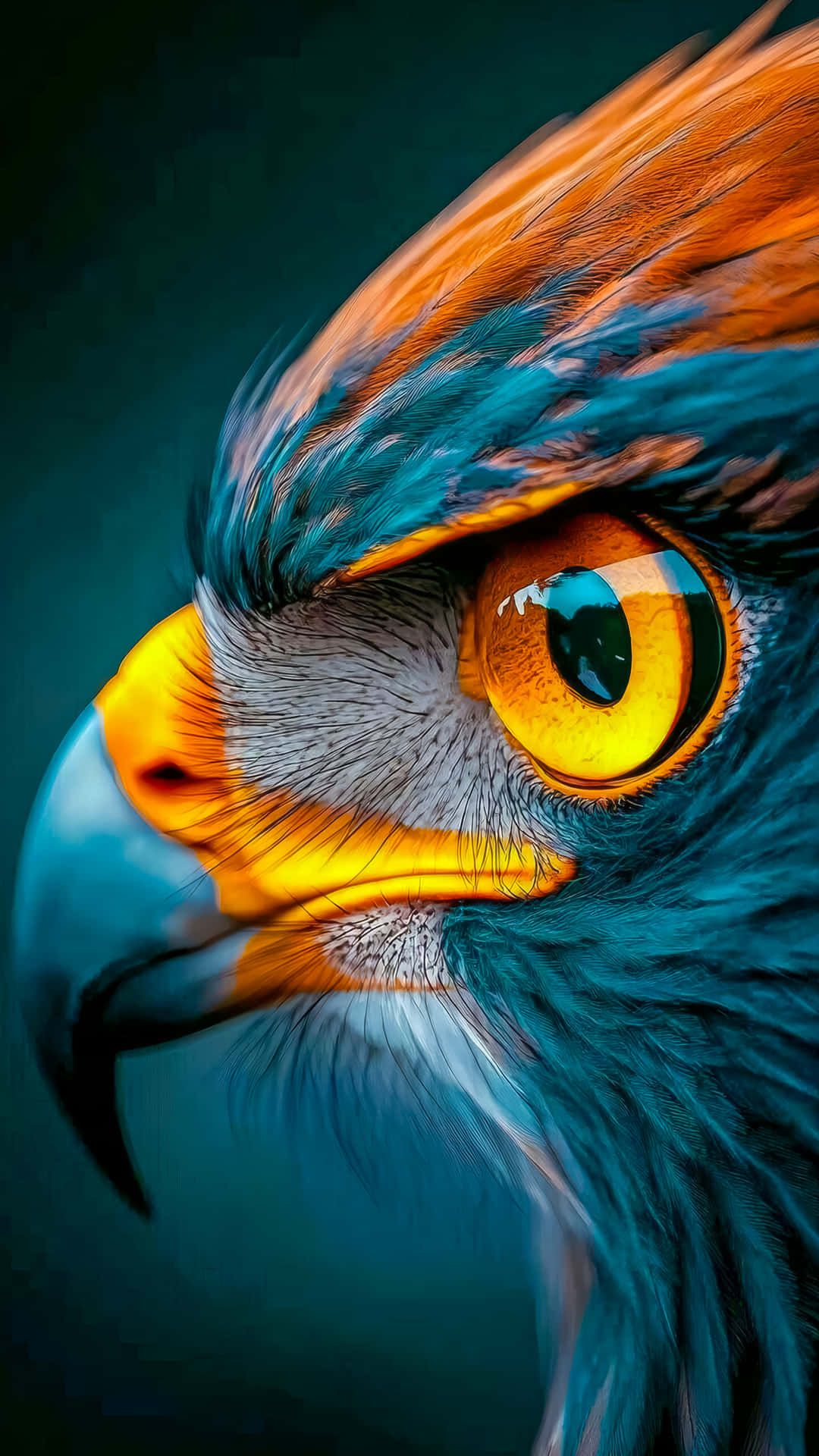 1080x1920 Eagle Wallpaper