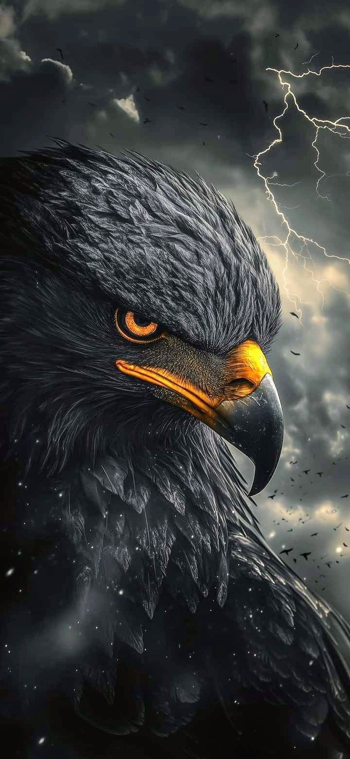 720x1560 Sky Hunter iPhone Wallpaper. Papel de parede de águia. Eagle wallpaper, Eagle image, Eagle picture