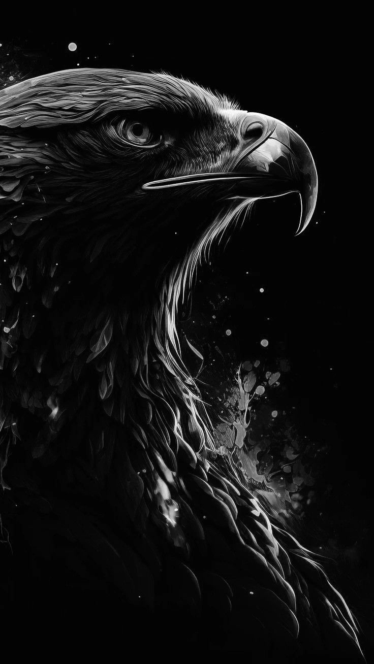 736x1308 Inspirational Eagle Quotes. Realistic eagle phone background, Eagle head wallpaper 4k, Angry eagle wallpaper hd