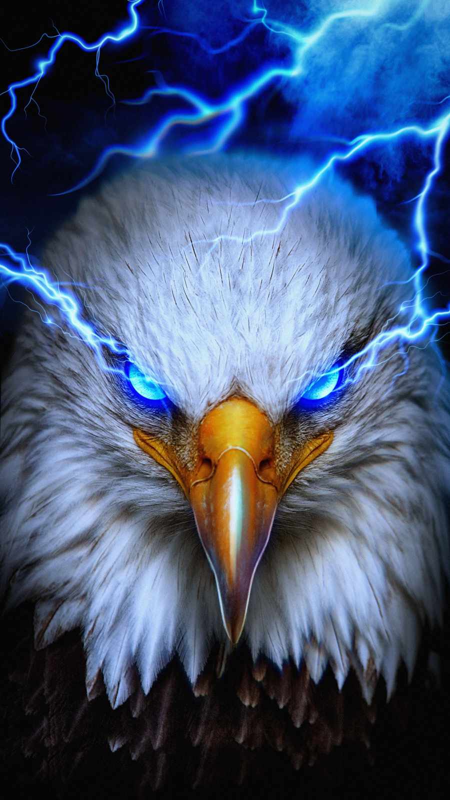 900x1600 Neon Eagle Wallpaper