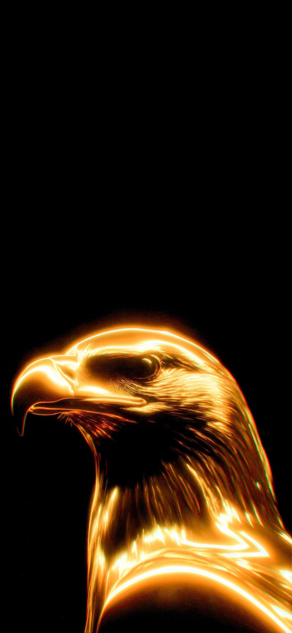 1170x2532 Eagle 4K Wallpaper