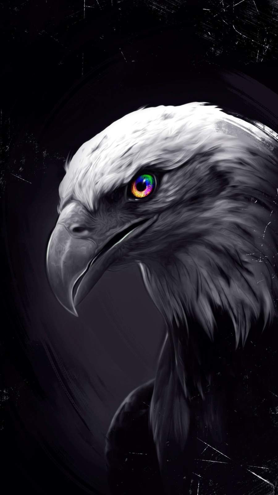 900x1600 Black Eagle Wallpaper