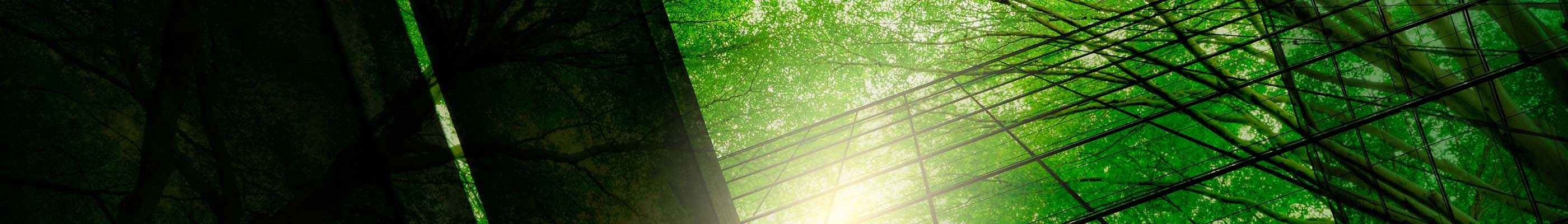 2800x400 Sustainability. Steel Dynamics. Long Products Steel