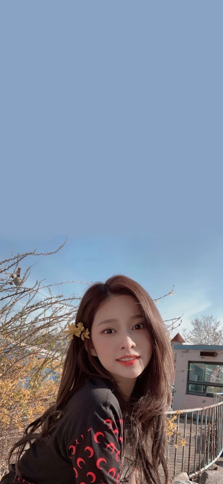 736x1594 kim minju wallpaper