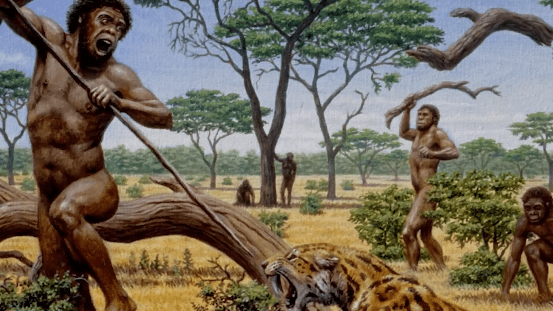 1920x1080 Prime Video: Early Humans