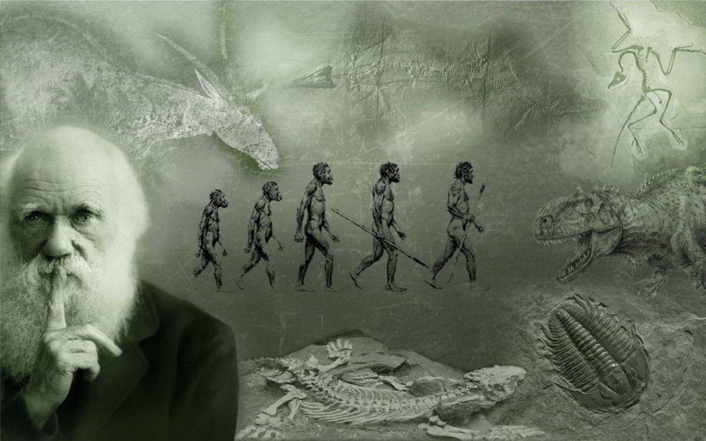1440x900 Human Evolution Wallpaper HD 84341