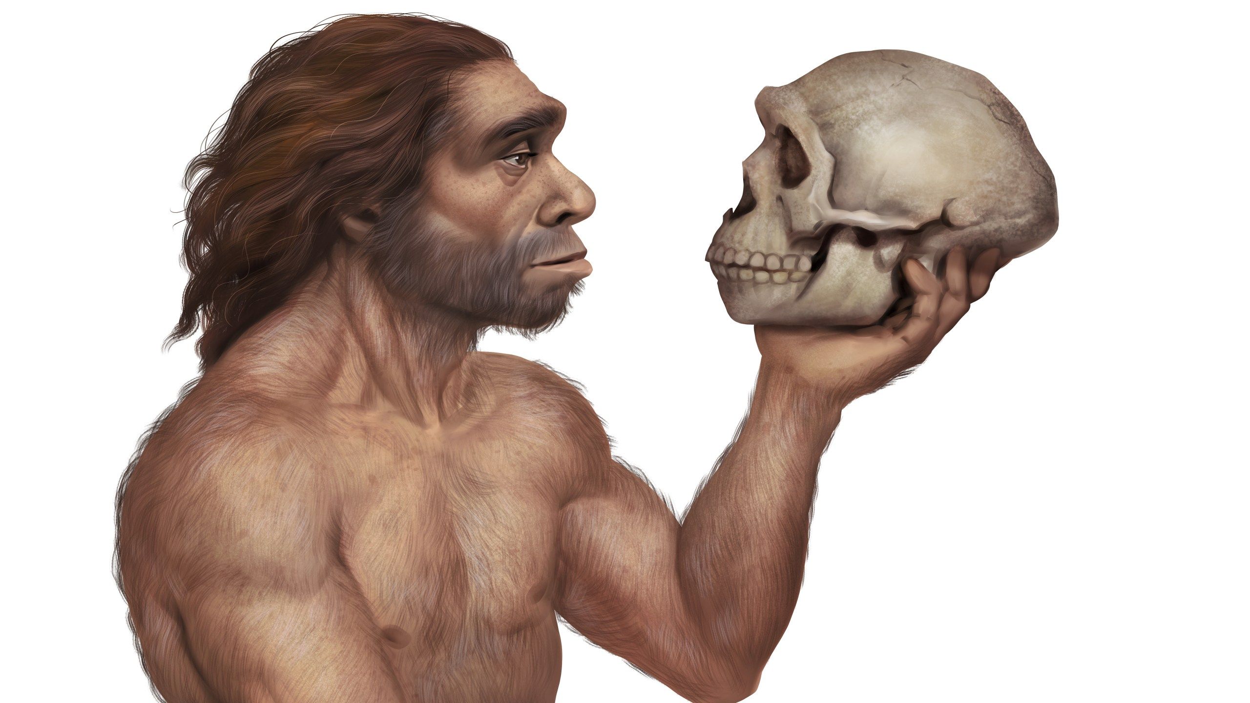 2560x1440 Enigmatic human fossil jawbone may be evidence of an early *Homo sapiens* presence in Europe