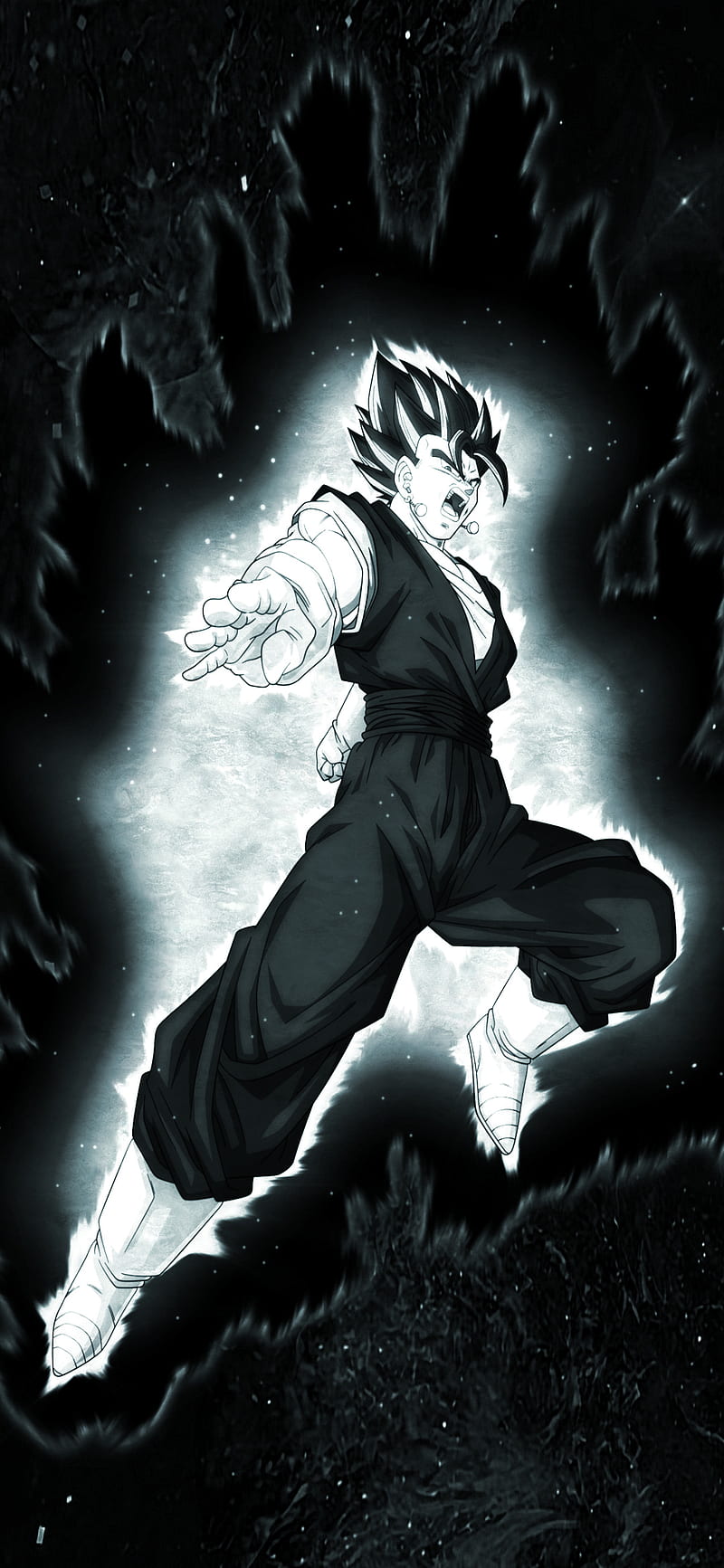 800x1733 Vegito, dragon ball, dragon ball super, dragon ball z, goku, potara fusion, saiyan, HD phone wallpaper
