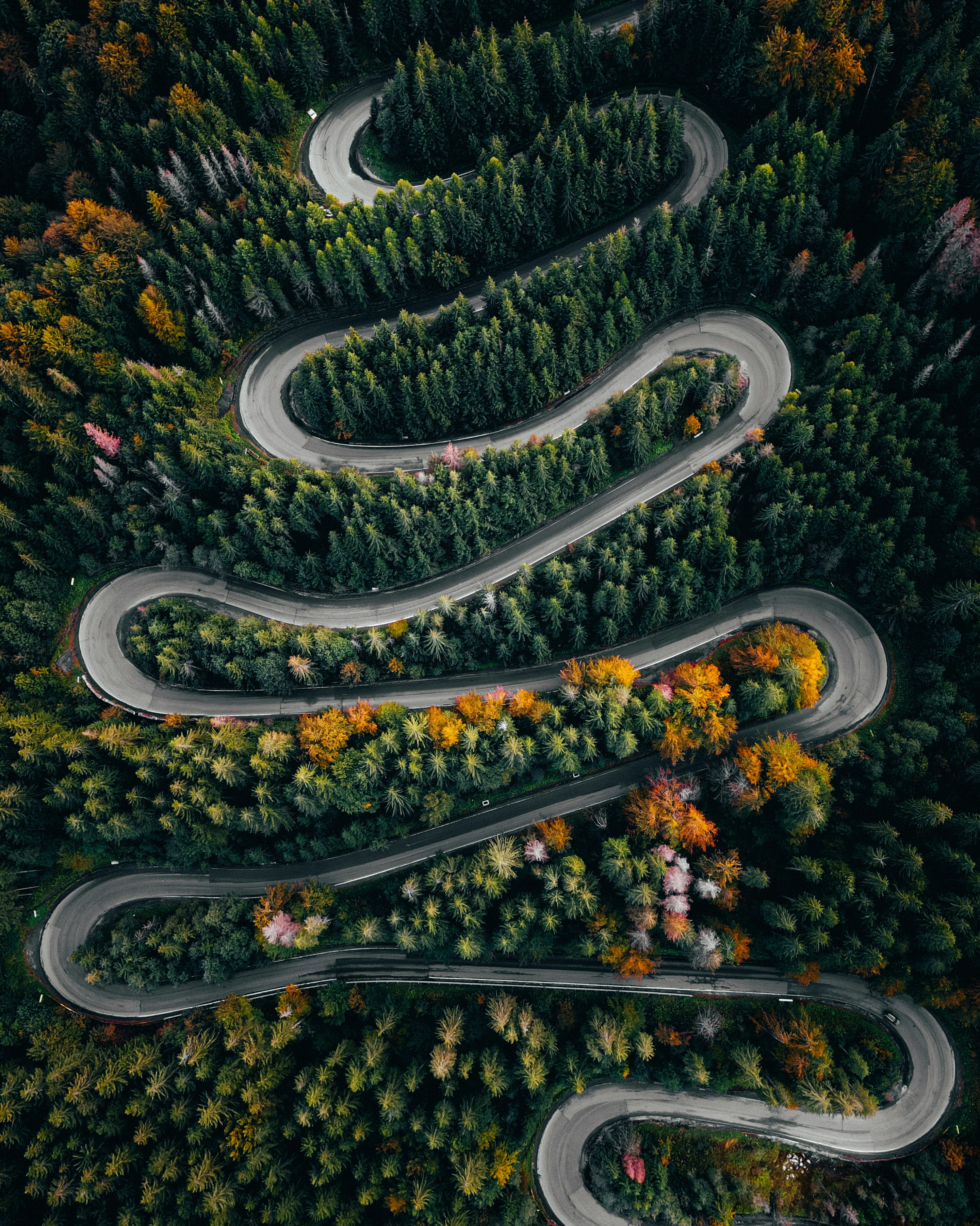 3000x3751 Winding Road Picture [HD]. Download Free Image