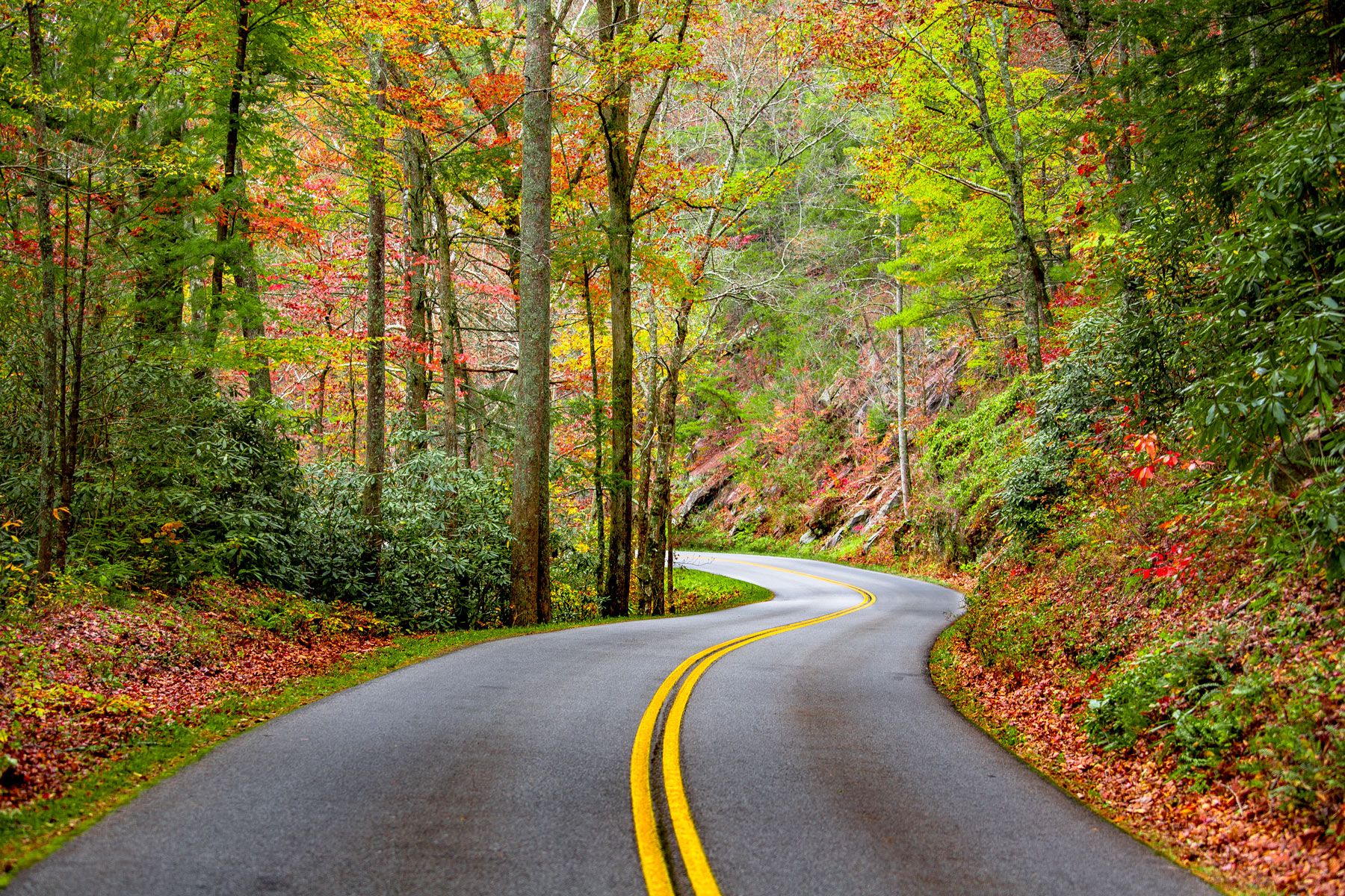 1800x1200 Best National Parks to Visit in the Fall
