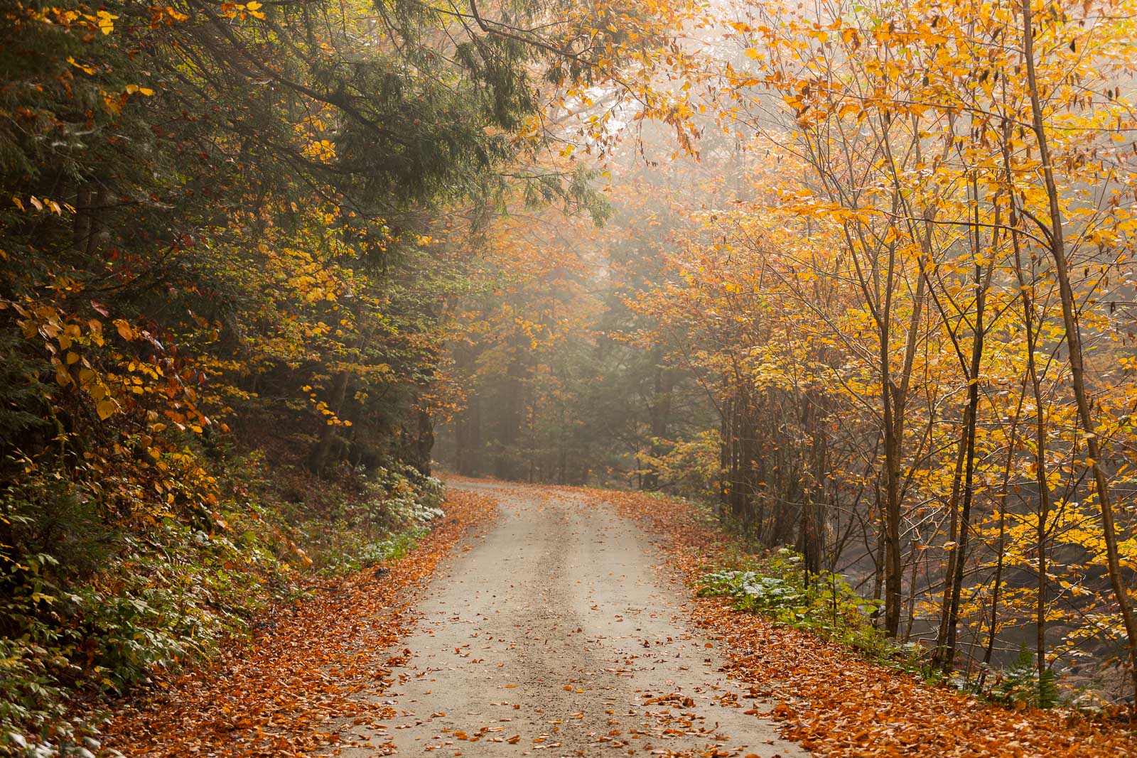 1600x1067 The Best Places to Visit in Vermont in the Fall