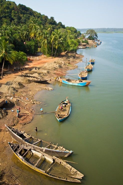 493x740 Udupi Image