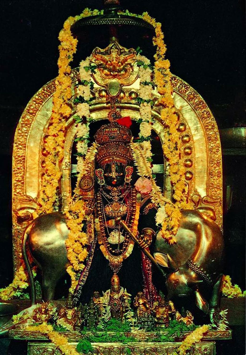 1024x1474 Udupi Wallpaper