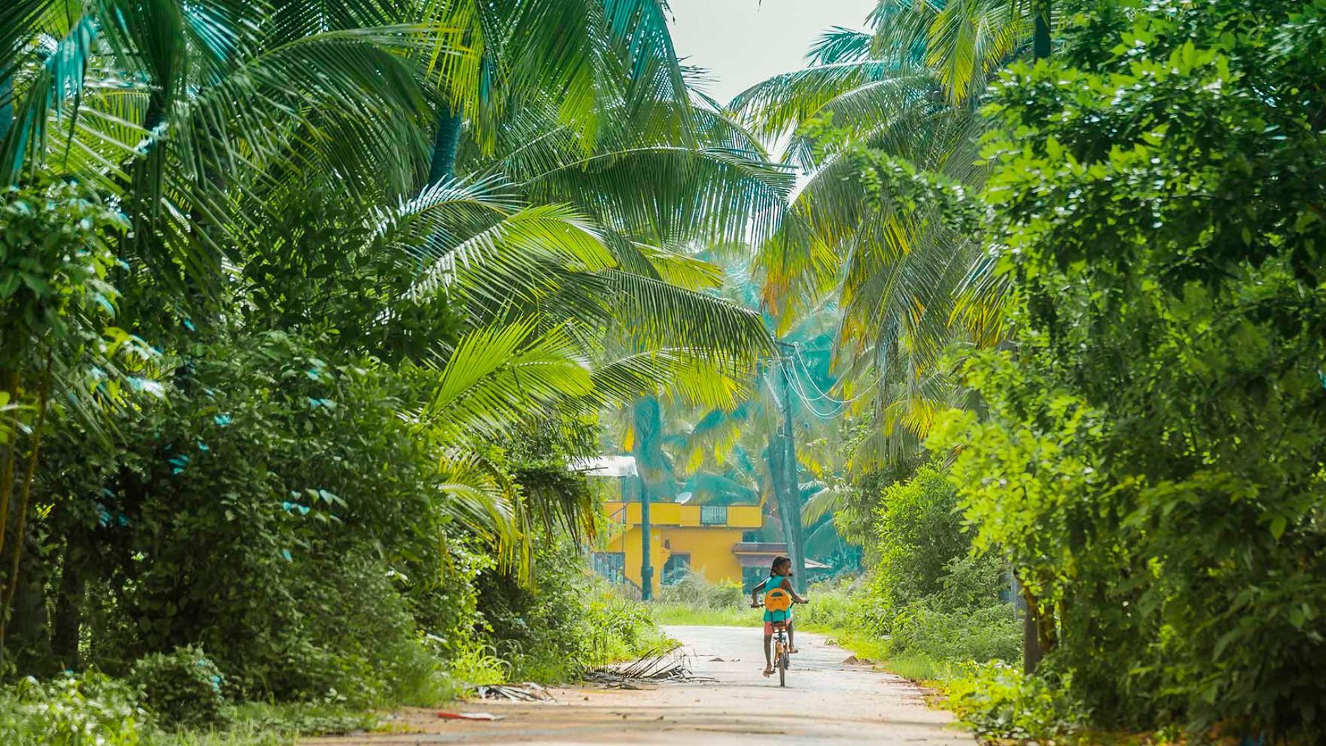 1920x1080 Udupi In Winter: Explore The Charms Of Coastal Karnataka