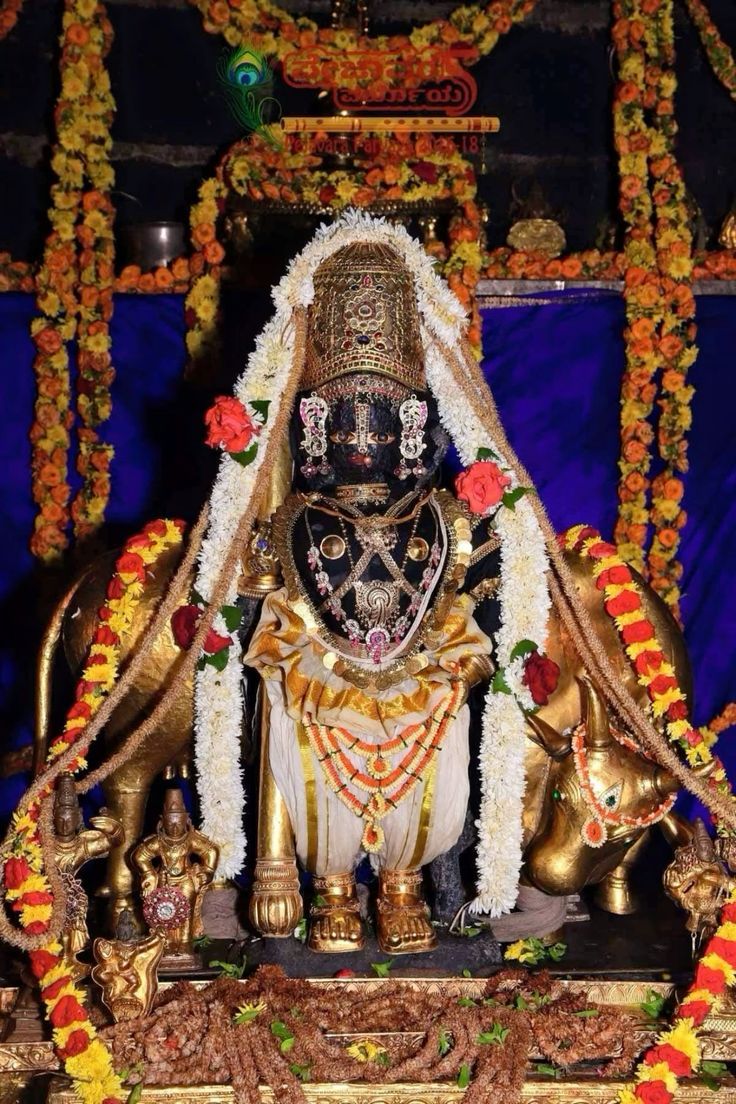 736x1104 Udupi Krishna
