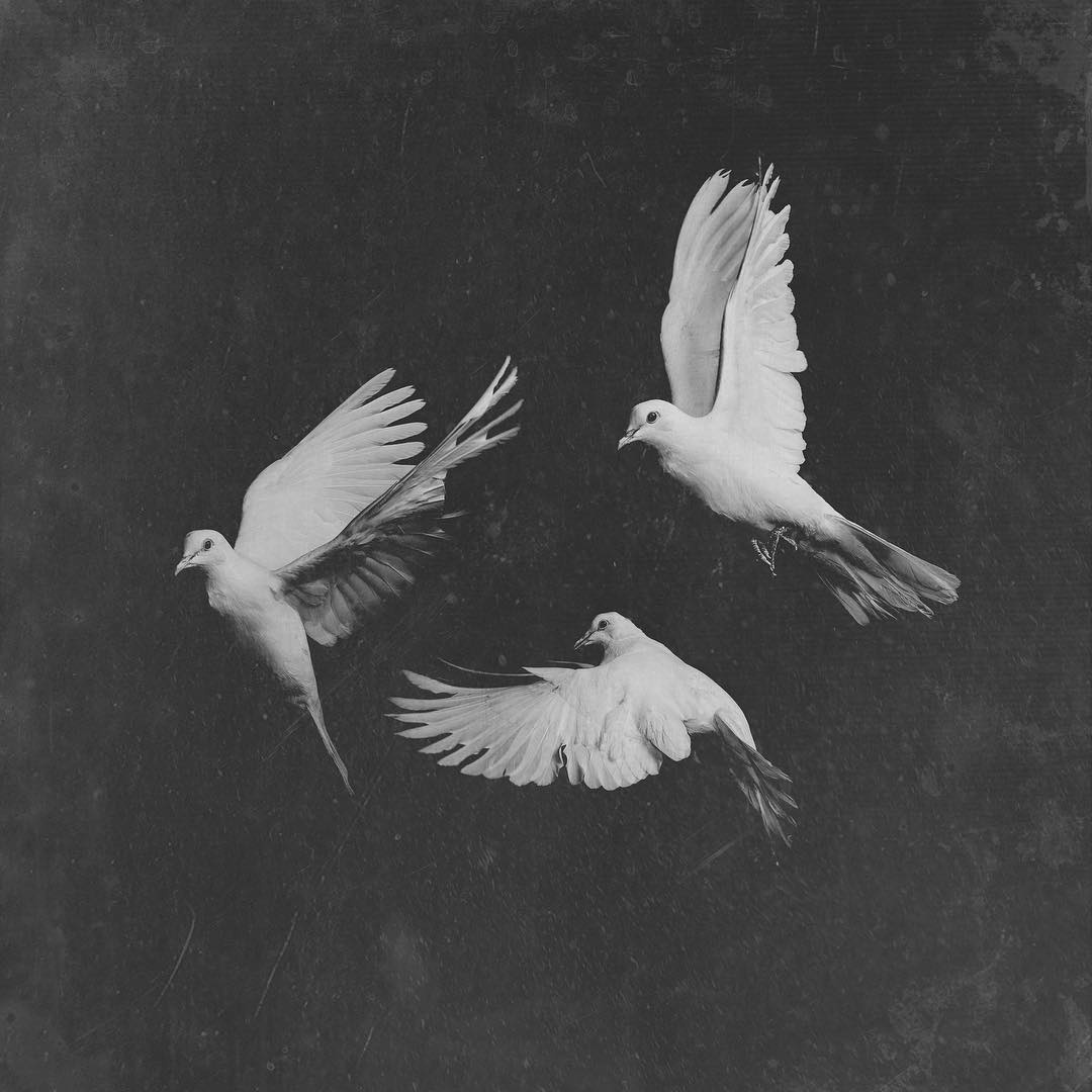 1080x1080 Pusha T Wallpaper