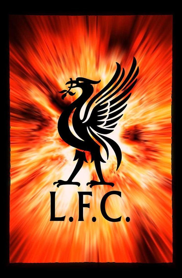 736x1122 Liverpool F.C. Wallpaper