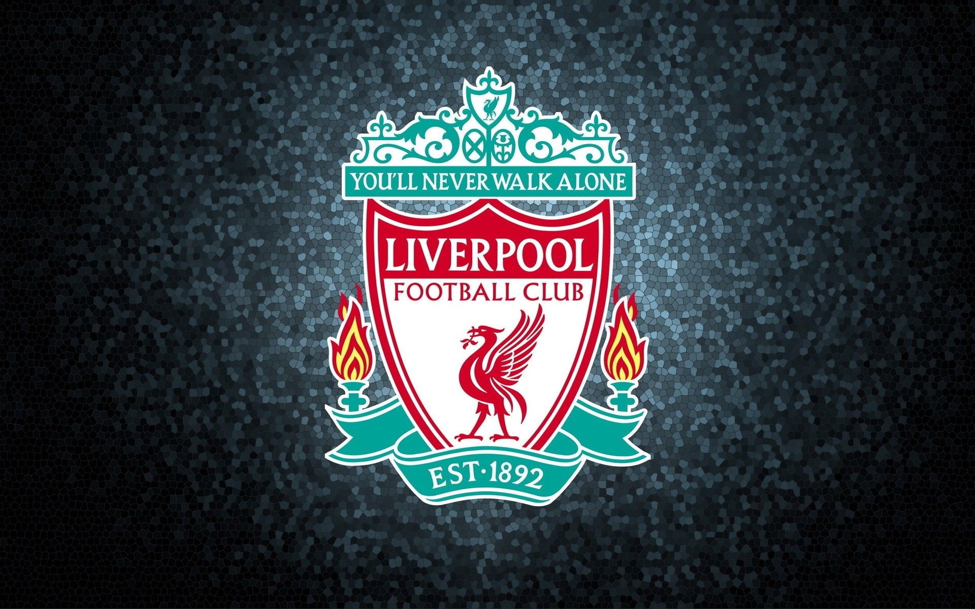 1920x1200 Sports Emblem Of The Football