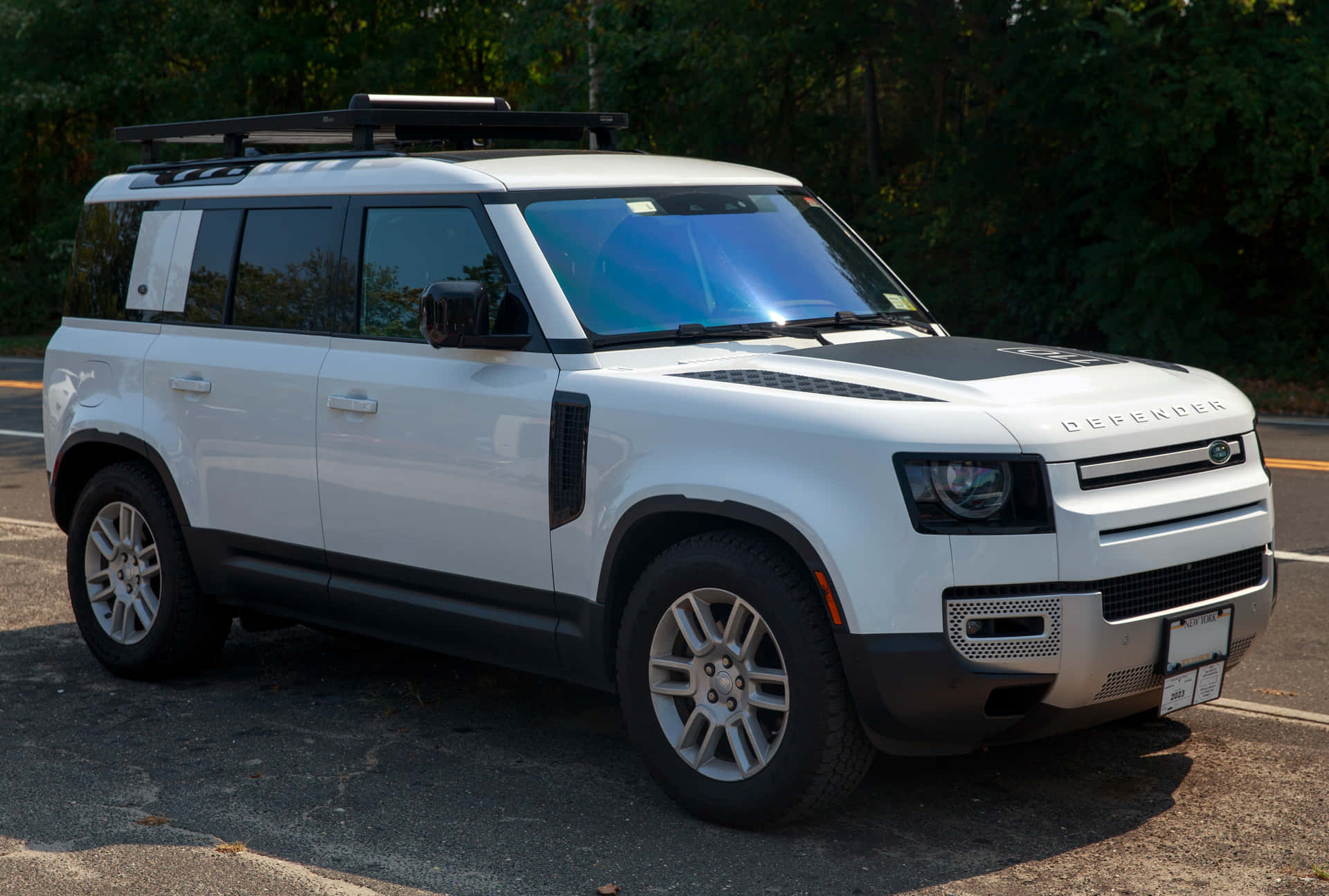 1920x1295 Download Stunning Land Rover Defender in Its Natural Habitat Wallpaper