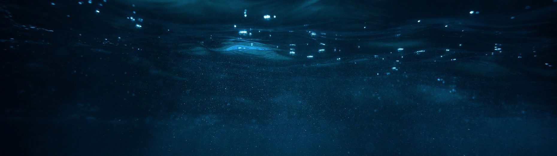 1860x523 Deep Blue Sea