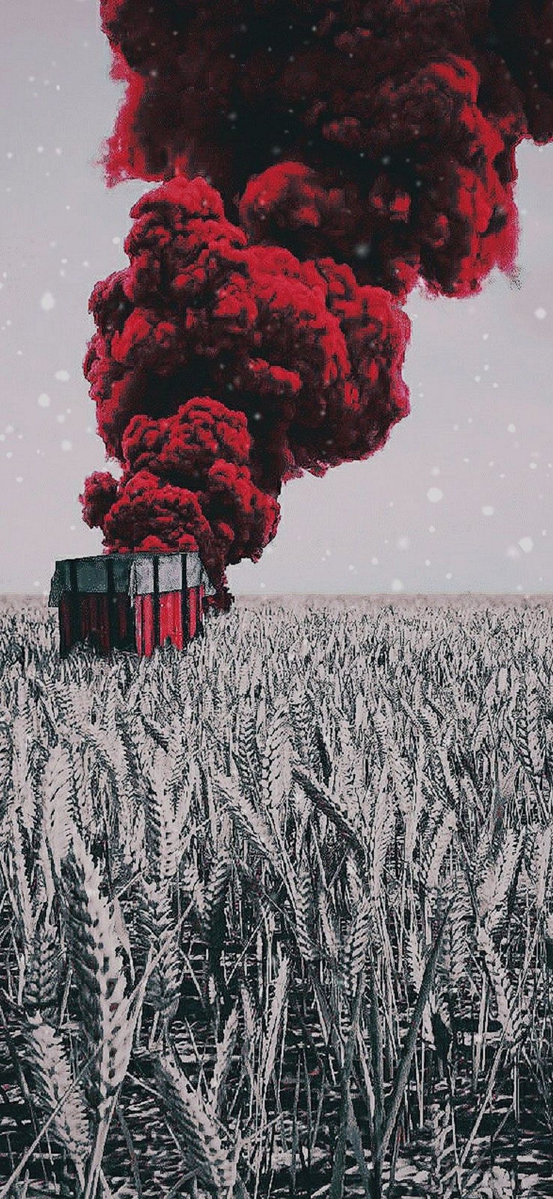 1080x2340 Poco M6 Pro 5G Wallpaper
