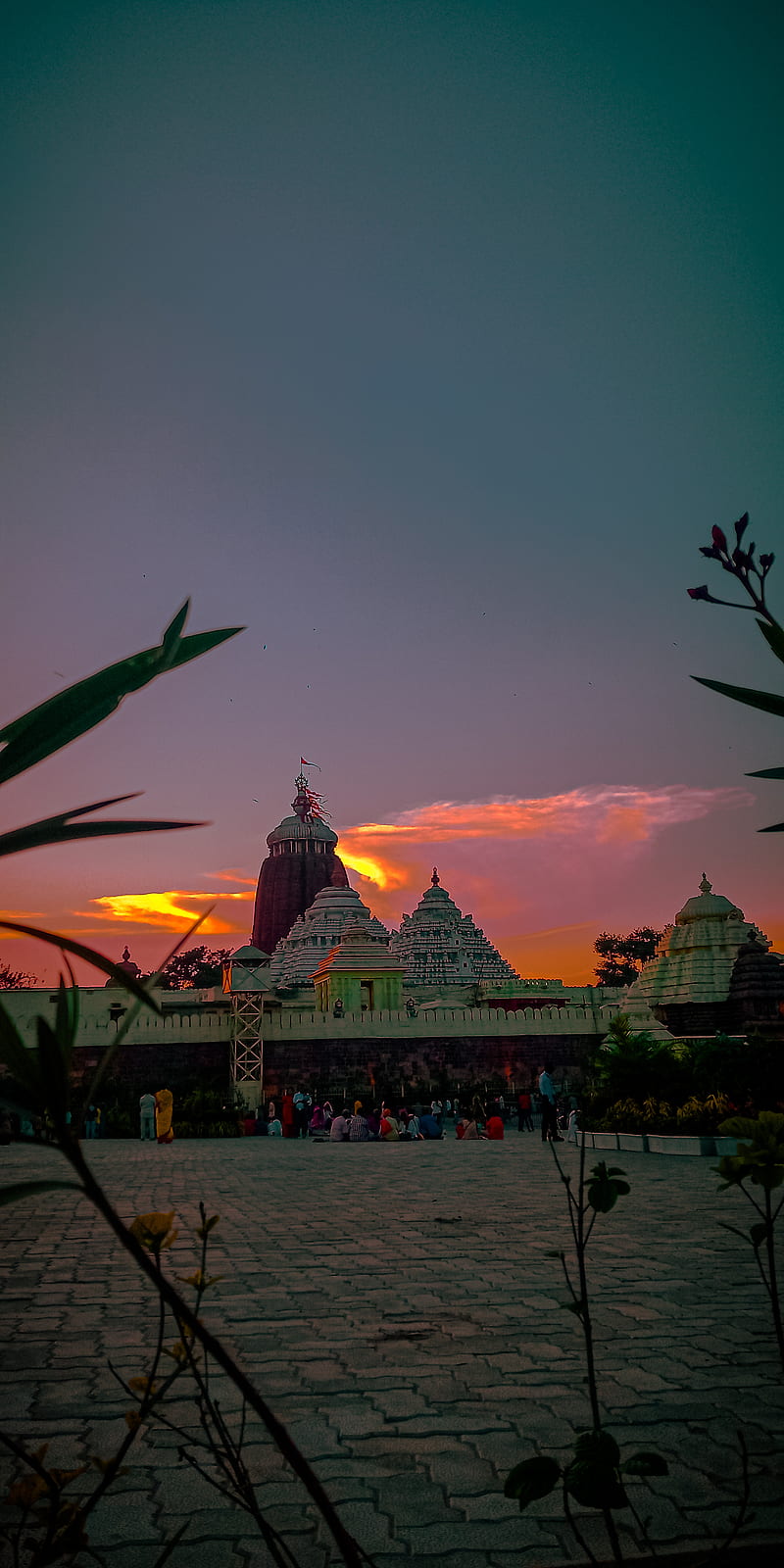 800x1600 Puri, jagannath, HD phone wallpaper