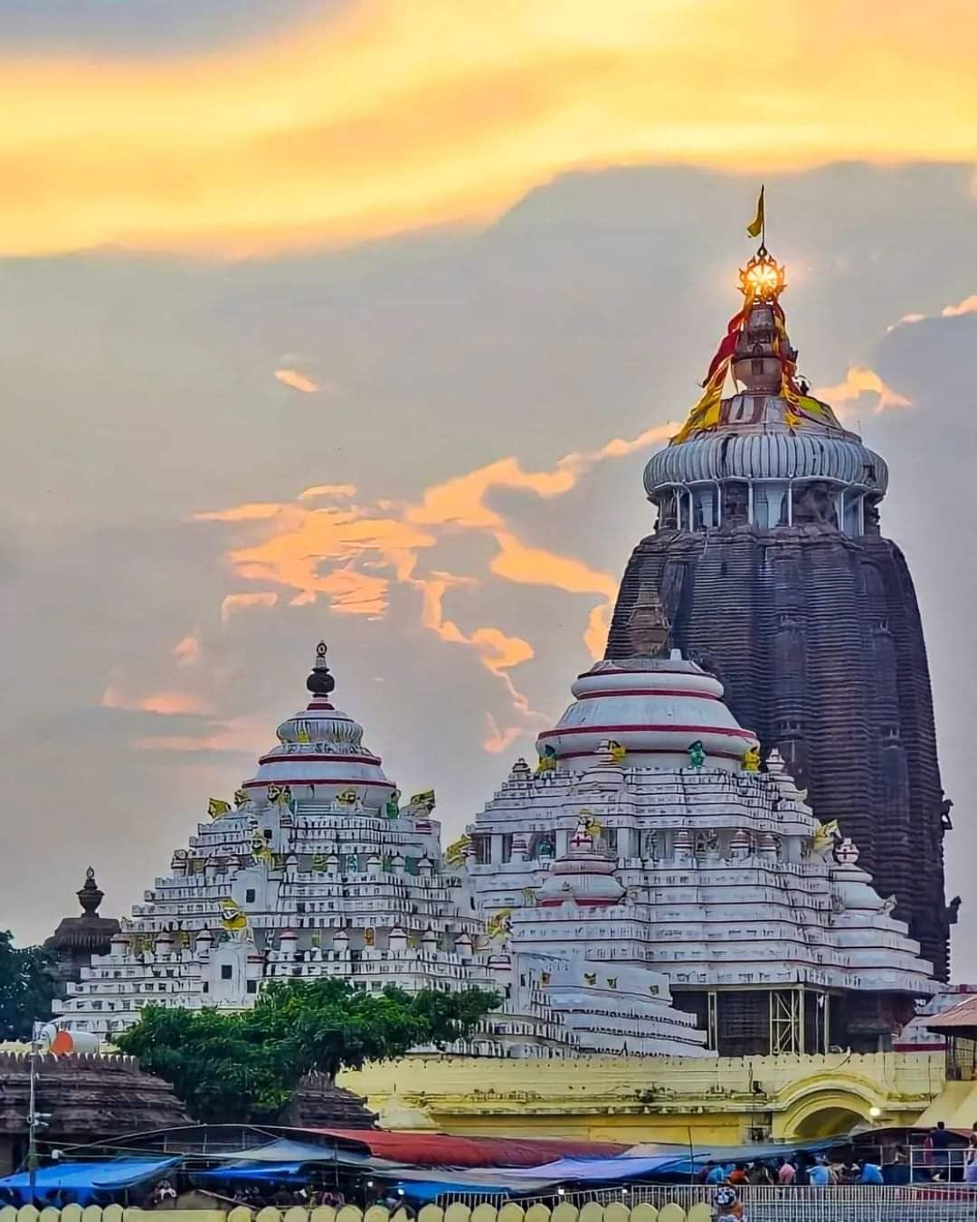 1080x1351 gojo Jagannath Puri Mandir gloss Office Home Drawing Room Wall Poster (12x18 Inch) : Amazon.in: Home & Kitchen