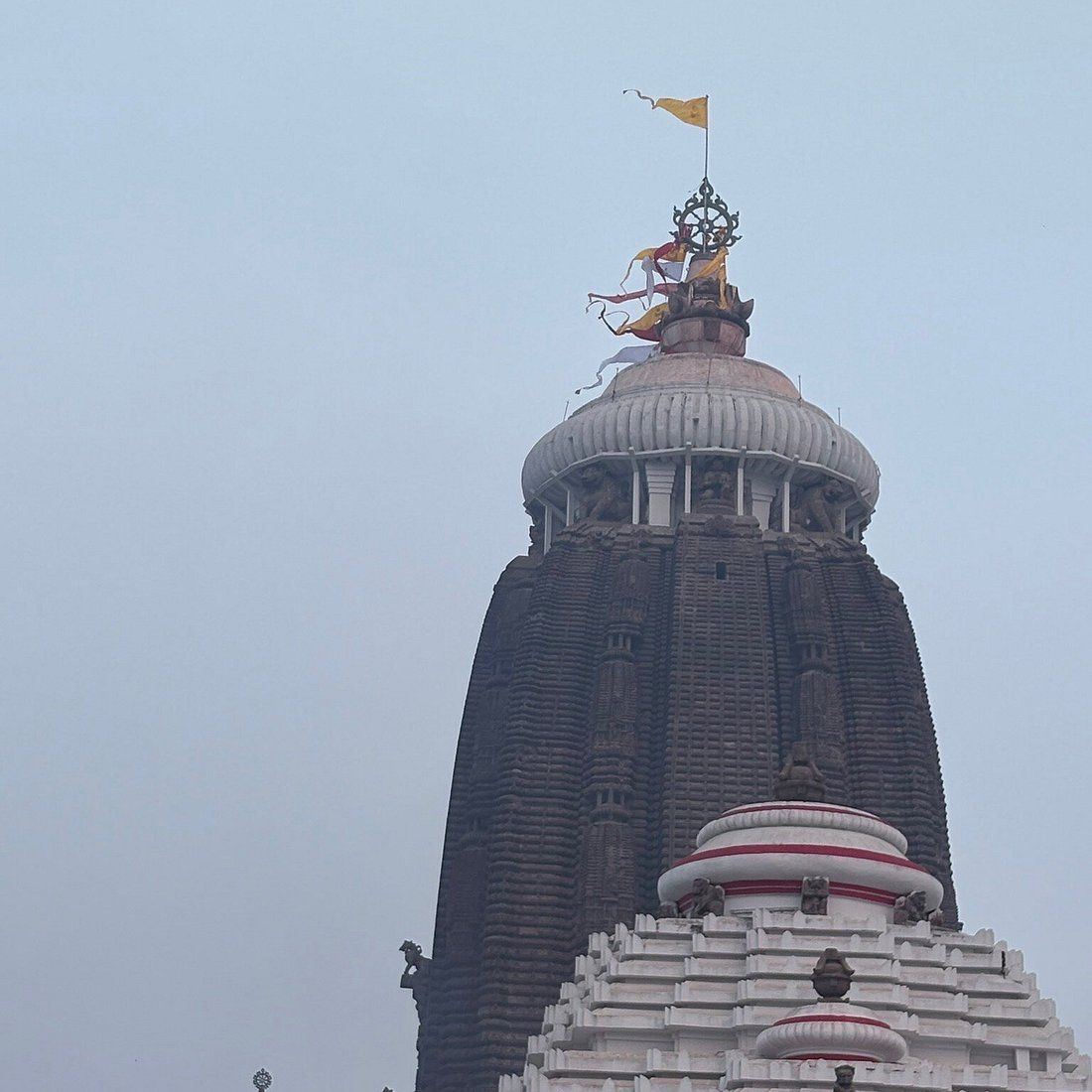 1100x1100 Jagannath Temple You SHOULD Know Before Going 2026 (with Reviews)